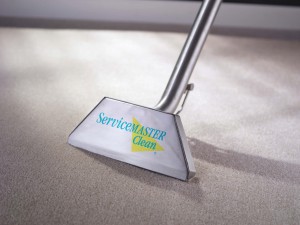 Carpet Cleaner in Aurora
