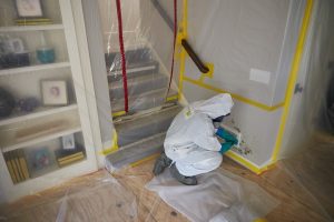 Professional Mold Remediation