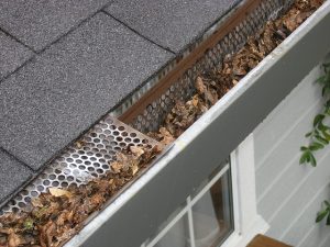 Home-Winterizing-Aurora-Perform Roof Maintenance and Clean Gutters