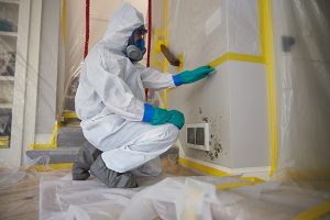 Mold remediation crew at work Mold remediation crew performing controlled containment and air filtration in a home affected by floor system mold