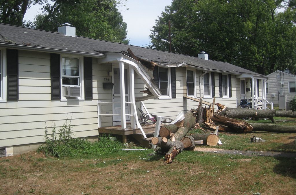 How to Clean Up After Fall Storms in Illinois