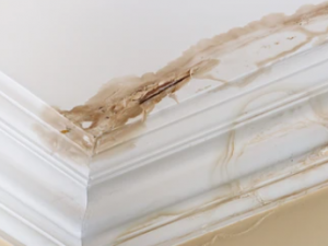 ceiling-water-damage-tips