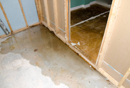 Water Damaged Carpet Cleaning Tricks and Odor Removal Guide