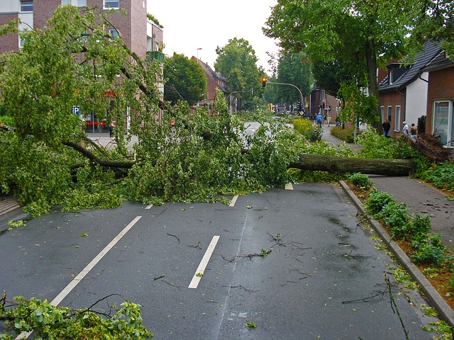 How to Stay Safe During Severe Weather in Chicagoland