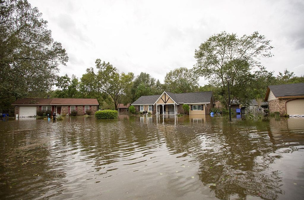 How to Repair and Protect Your Home’s Exterior From Water Damage?