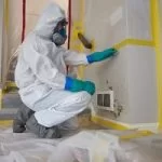 Mold Remediation - Schaumburg, IL