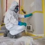 Mold Remediation Services – Streamwood, IL